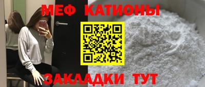 стафф Кингисепп