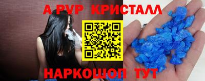 стафф Кингисепп