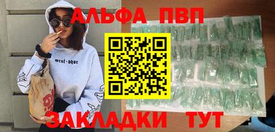 стафф Кингисепп