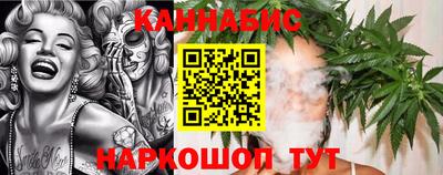 стафф Кингисепп
