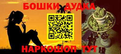 стафф Кингисепп
