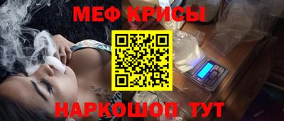 стафф Кингисепп
